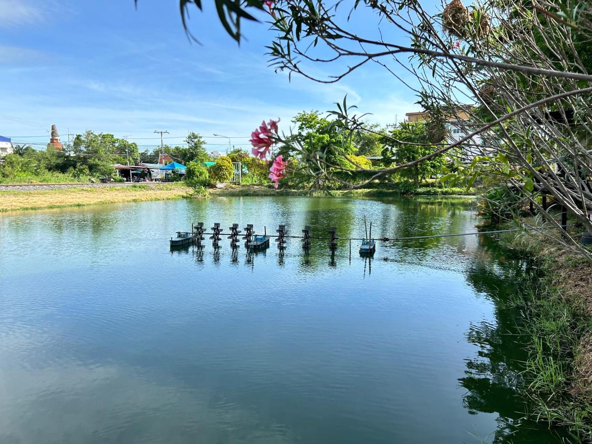 Dd Boutique Resort Ban Wat Pa Ngoại thất bức ảnh